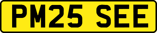 PM25SEE