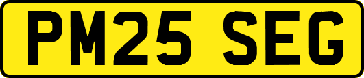 PM25SEG