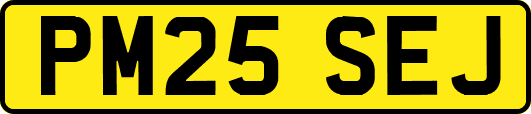 PM25SEJ