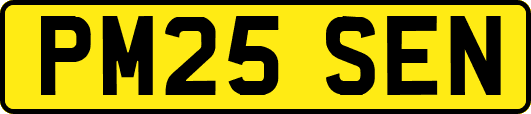 PM25SEN