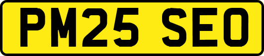 PM25SEO