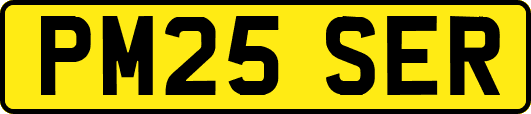 PM25SER