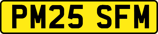 PM25SFM