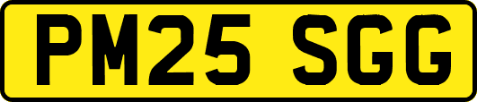 PM25SGG