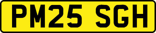 PM25SGH