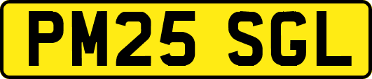 PM25SGL