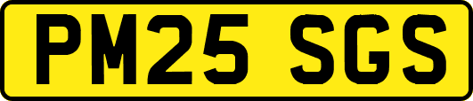 PM25SGS
