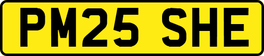 PM25SHE