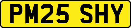 PM25SHY