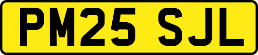 PM25SJL