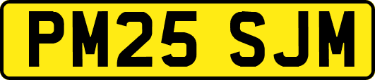 PM25SJM