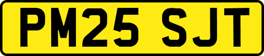PM25SJT
