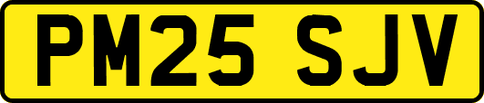 PM25SJV