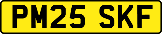 PM25SKF