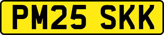 PM25SKK