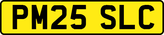 PM25SLC