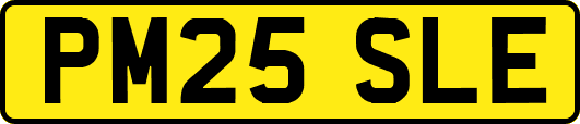 PM25SLE