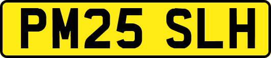 PM25SLH
