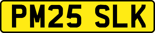 PM25SLK