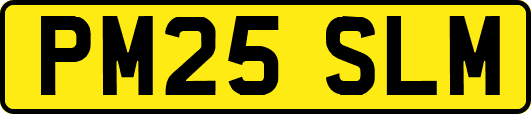 PM25SLM