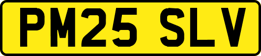PM25SLV