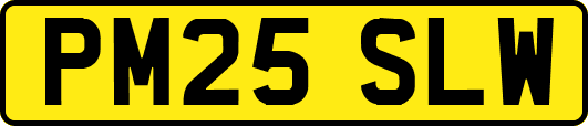 PM25SLW