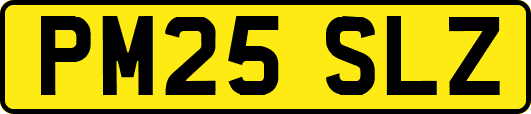 PM25SLZ