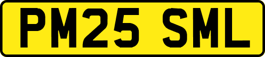 PM25SML