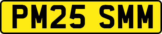 PM25SMM