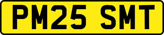 PM25SMT
