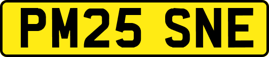 PM25SNE