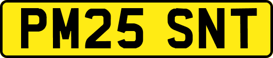 PM25SNT