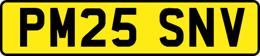 PM25SNV