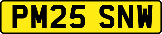 PM25SNW