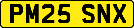 PM25SNX