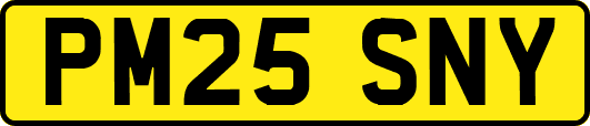 PM25SNY