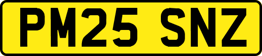 PM25SNZ