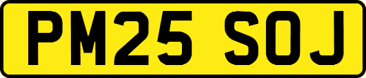 PM25SOJ