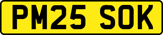 PM25SOK