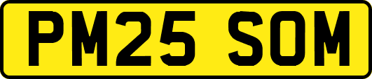 PM25SOM