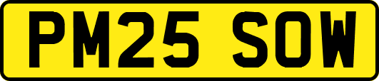 PM25SOW