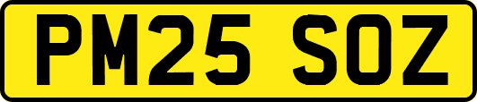 PM25SOZ