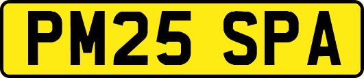 PM25SPA