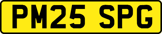 PM25SPG