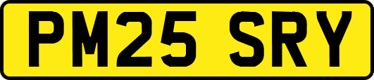PM25SRY