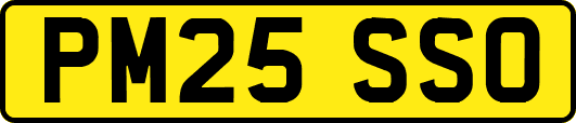 PM25SSO