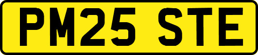 PM25STE