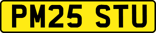 PM25STU