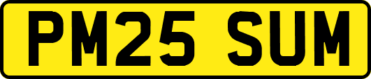 PM25SUM