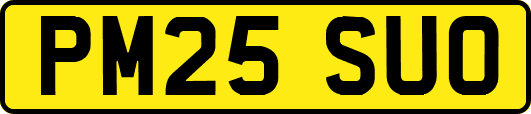 PM25SUO